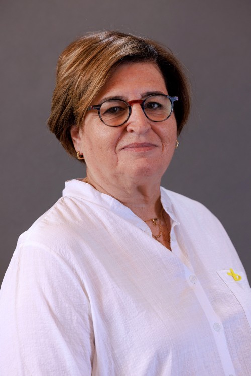 ilana ben namer